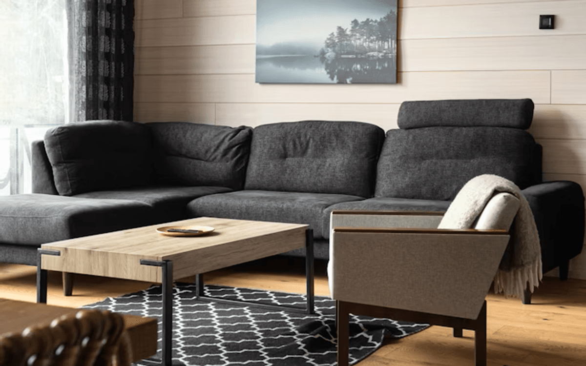 Living Room Sofa Ideas for a Refreshing & Comfy Vibe