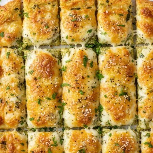 Cheesy & Garlicky Cheesy Zucchini Breadsticks So EASY to Make!