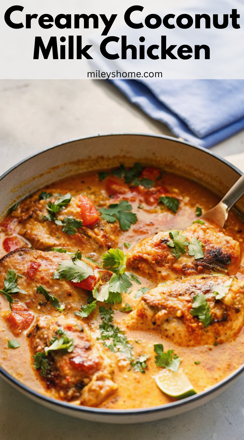 Creamy Coconut Milk Chicken with Tomato and Warm Spices - Mileyshome